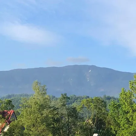 Osada Babiogorska - Goscinne 山林小屋 *