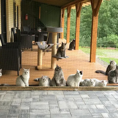 Jaktstuga Osada Babiogorska - Goscinne