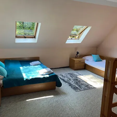 山林小屋 Osada Babiogorska - Goscinne 扎沃亚