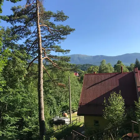 Osada Babiogorska - Goscinne 山林小屋 扎沃亚