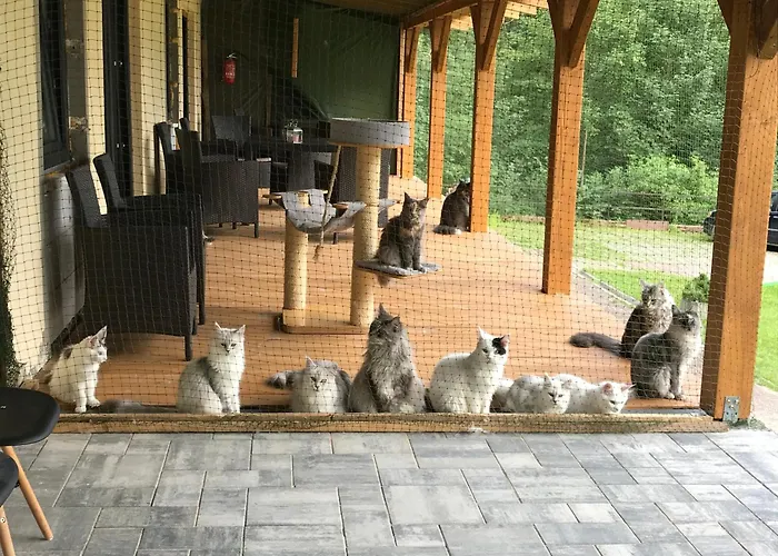 Lodge Osada Babiogórska - Gościnne